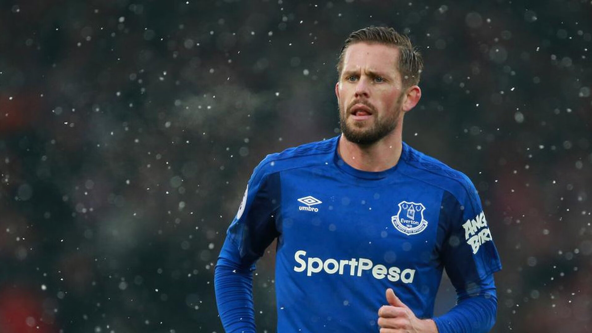 新秀表现是否能维持整个赛季，新秀赛季是几个赛季